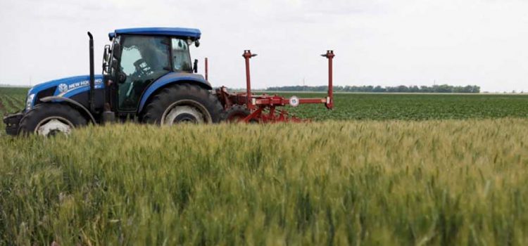 Inician Rusia y Ucrania discusiones sobre exportación de cereales
