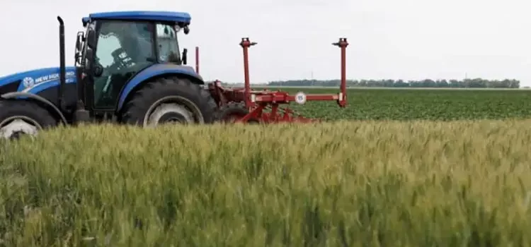 Rechaza Rusia extender acuerdo sobre granos de Ucrania