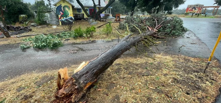 Restos de tormenta Hilary causan estragos en el condado de San Diego