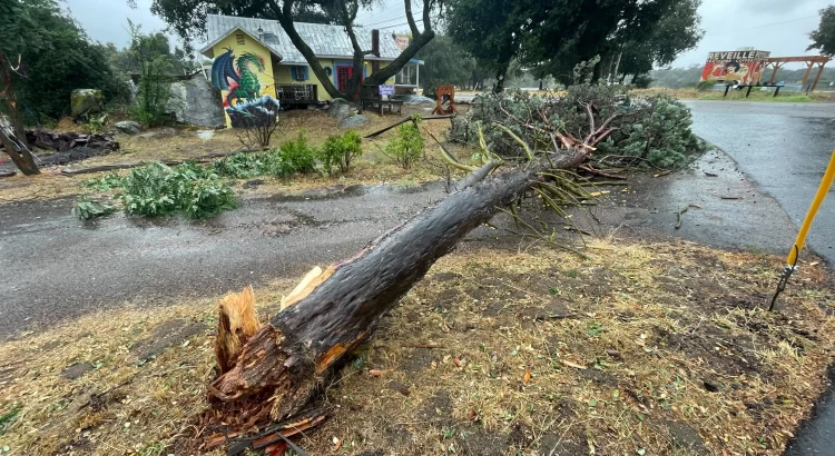 Restos de tormenta Hilary causan estragos en el condado de San Diego