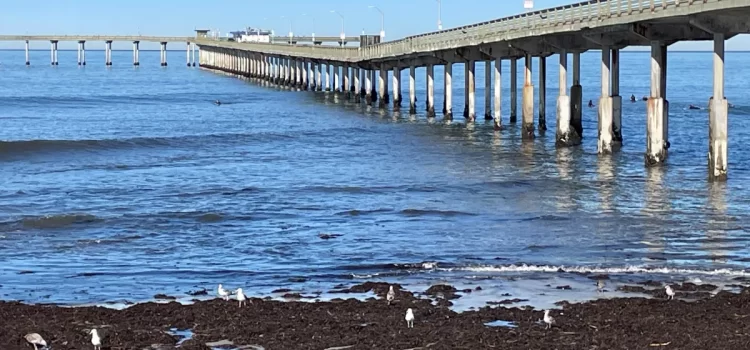 Cierre prolongado del muelle de Ocean Beach en San Diego debido a daños estructurales y futuras tormentas