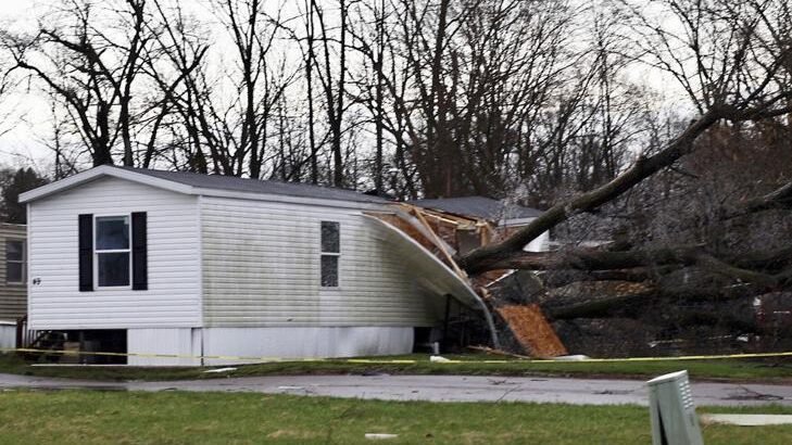 Mueren 3 menores por caída de un árbol durante una tormenta en Michigan Mueren 3 menores por caída de un árbol durante una tormenta en Michigan