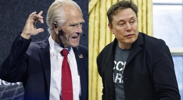 Elon Musk llama “imbécil” a Peter Navarro, asesor económico de Donald Trump