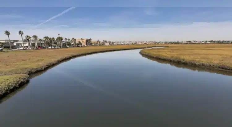 Presentan ante el Congreso proyecto de ley bicameral para atender contaminación del río Tijuana