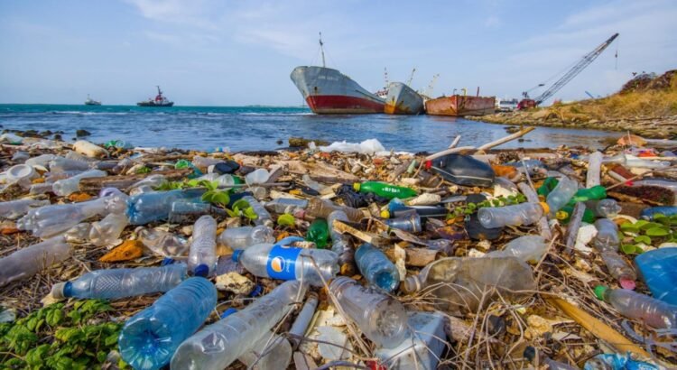 Negociaciones para un tratado internacional sobre la contaminación de plásticos fracasan