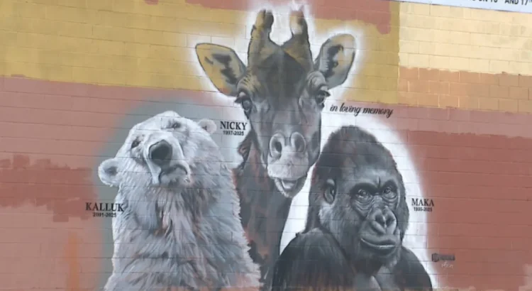 Realizan mural en homenaje a los animales fallecidos del Zoológico de San Diego