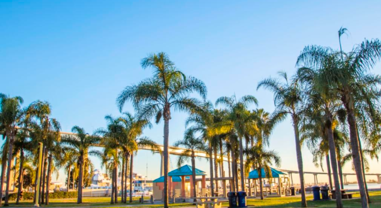 El Puerto de San Diego realizará reunión comunitaria sobre el proyecto de mejoras del Parque César Chávez