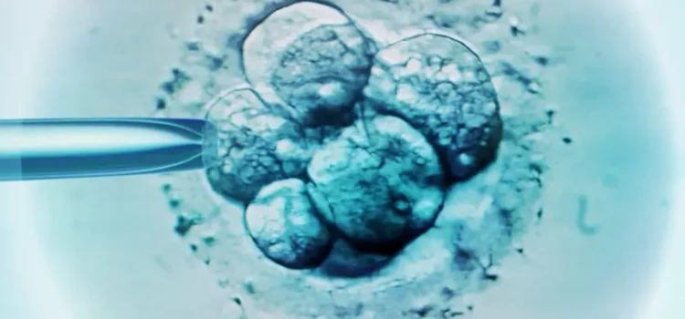 El “bebé más viejo del mundo” nace de un embrión congelado hace más 30 años en EE.UU.