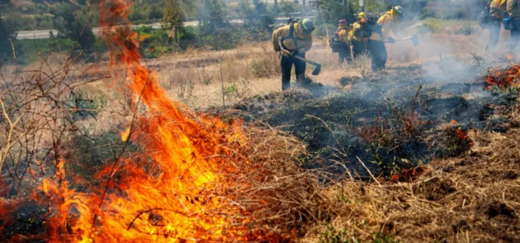La Niña pronto podría aumentar la amenaza de incendios forestales en San Diego