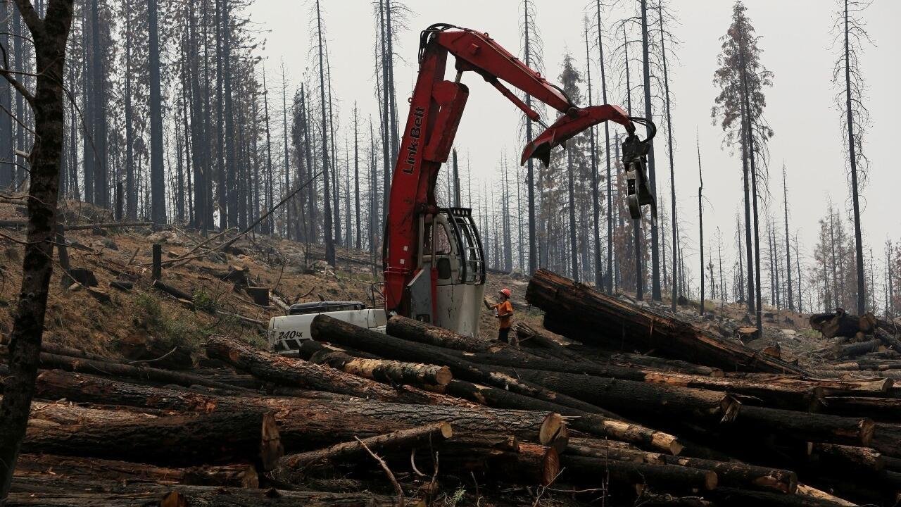 Trump abrirá bosques de California a la tala y construcción de vías
